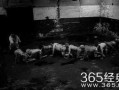 人体蜈蚣3在线观看完整版,惊悚极限，生死较量